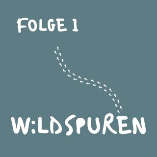 Podcast-Cover der ersten Folge von „Wildspuren“. Vor einem ruhigen blau-grünen Hintergrund steht der Titel „Wildspuren“ gut lesbar im unteren Bildbereich. Darüber Fußstapfen und oben links in der Ecke der Untertitel „Folge 1“. Das Design vermittelt eine ruhige und einladende Atmosphäre und greift die Themen Naturbeobachtung, Aufmerksamkeit und das bewusste Erleben der Jahreszeiten auf. Das Cover steht für einen Podcast über Wildpflanzen, Tiere, Naturwissen und die kleinen Veränderungen, die sich täglich direkt vor unserer Haustür abspielen.