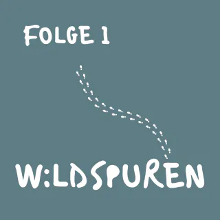 Podcast-Cover der ersten Folge von „Wildspuren“. Vor einem ruhigen blau-grünen Hintergrund steht der Titel „Wildspuren“ gut lesbar im unteren Bildbereich. Darüber Fußstapfen und oben links in der Ecke der Untertitel „Folge 1“. Das Design vermittelt eine ruhige und einladende Atmosphäre und greift die Themen Naturbeobachtung, Aufmerksamkeit und das bewusste Erleben der Jahreszeiten auf. Das Cover steht für einen Podcast über Wildpflanzen, Tiere, Naturwissen und die kleinen Veränderungen, die sich täglich direkt vor unserer Haustür abspielen.