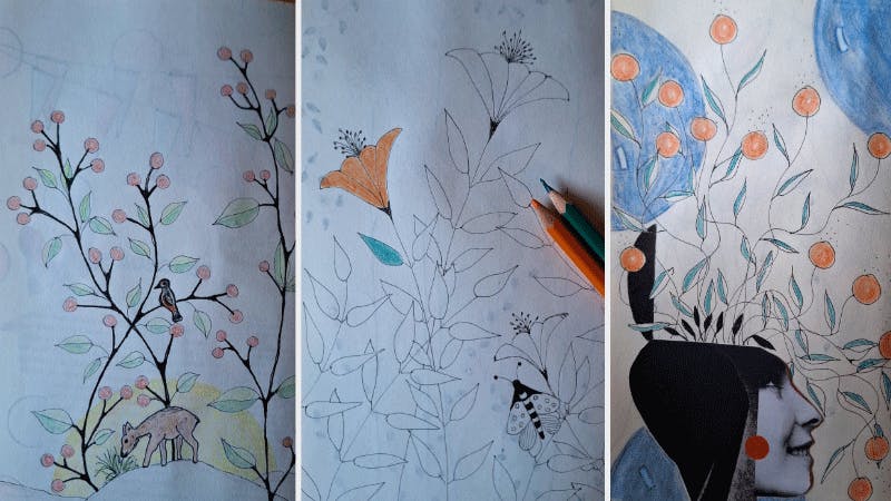 Sketchbook, Zeichnungen, Naturmotive, Buntstiftzeichnungen, Fineliner