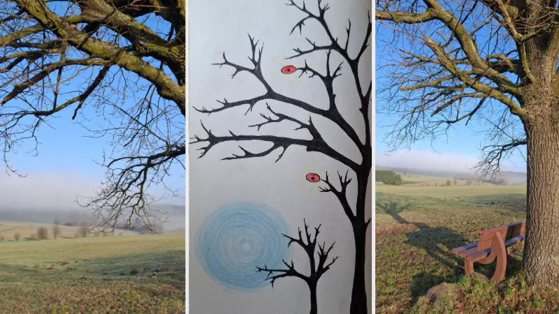Naturfotos, alte Eiche, Frühling, Baumskizze