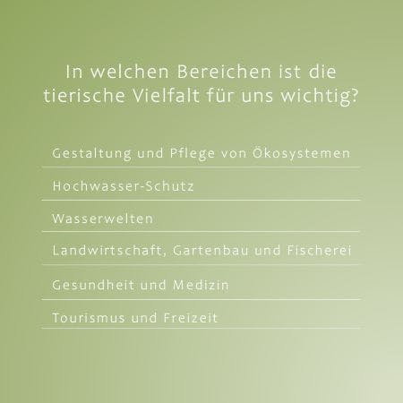 Übersicht über jene Bereiche, in denen Biodiversität für den Menschen wichtig ist: Ökosystem-Pflege, Hochwasser-Schutz, Wasserwelten, Landwirtschaft, Gartenbau und Fischerei, Gesundheit und Medizin, Tourismus und Freizeit.