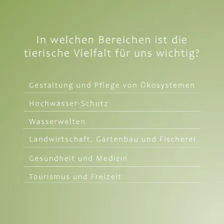 Übersicht über jene Bereiche, in denen Biodiversität für den Menschen wichtig ist: Ökosystem-Pflege, Hochwasser-Schutz, Wasserwelten, Landwirtschaft, Gartenbau und Fischerei, Gesundheit und Medizin, Tourismus und Freizeit.