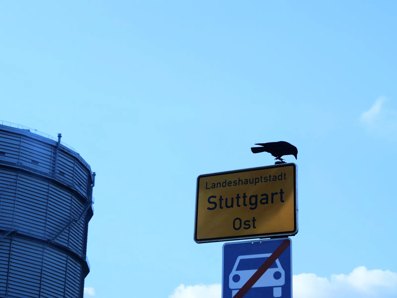 Rabenvogel auf dem Ortsschild Stuttgart-Ost beim Gaskessel. Foto: Jürgen Brand