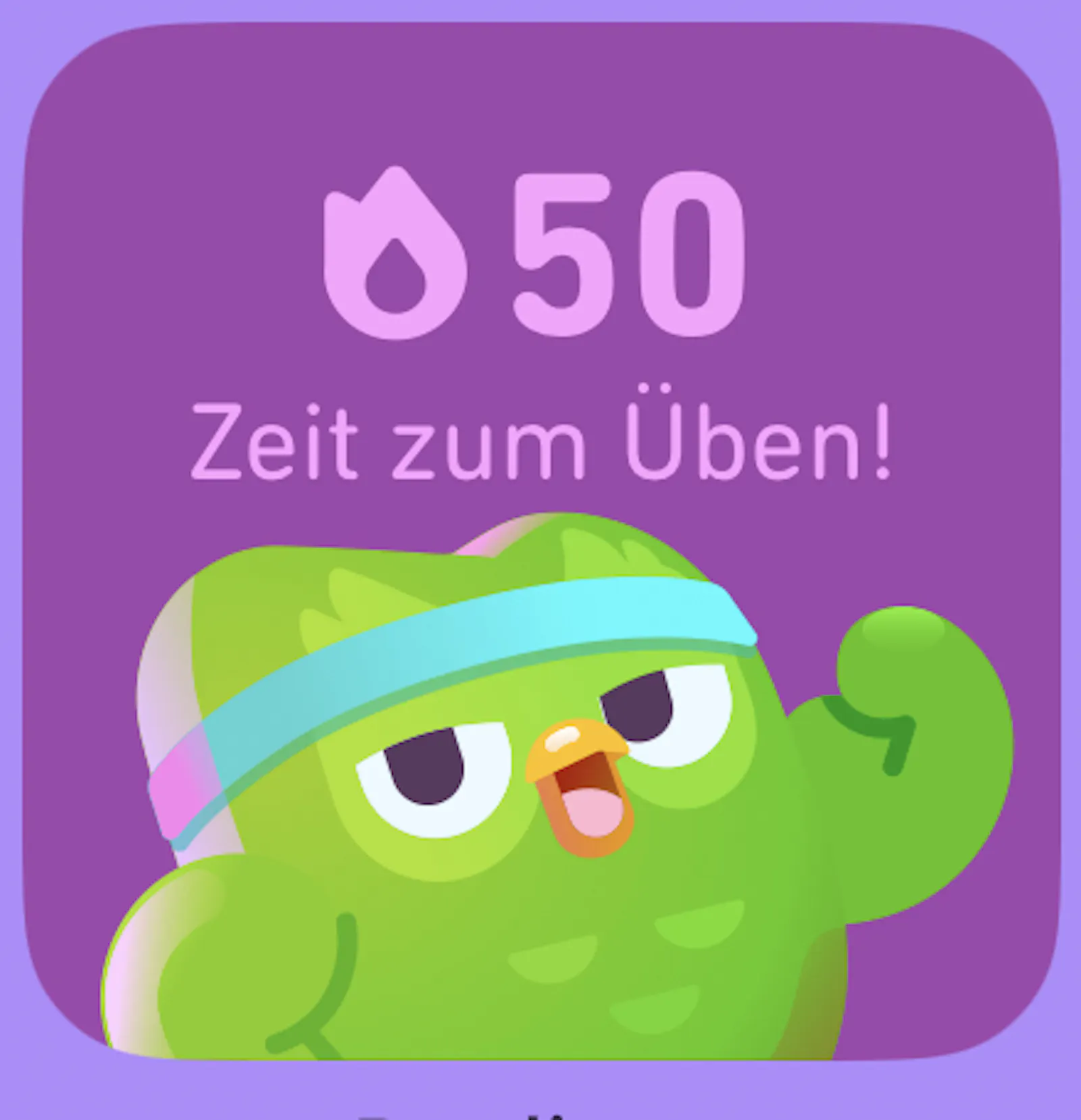 Duolingo-Eule ermahnt zum Üben
