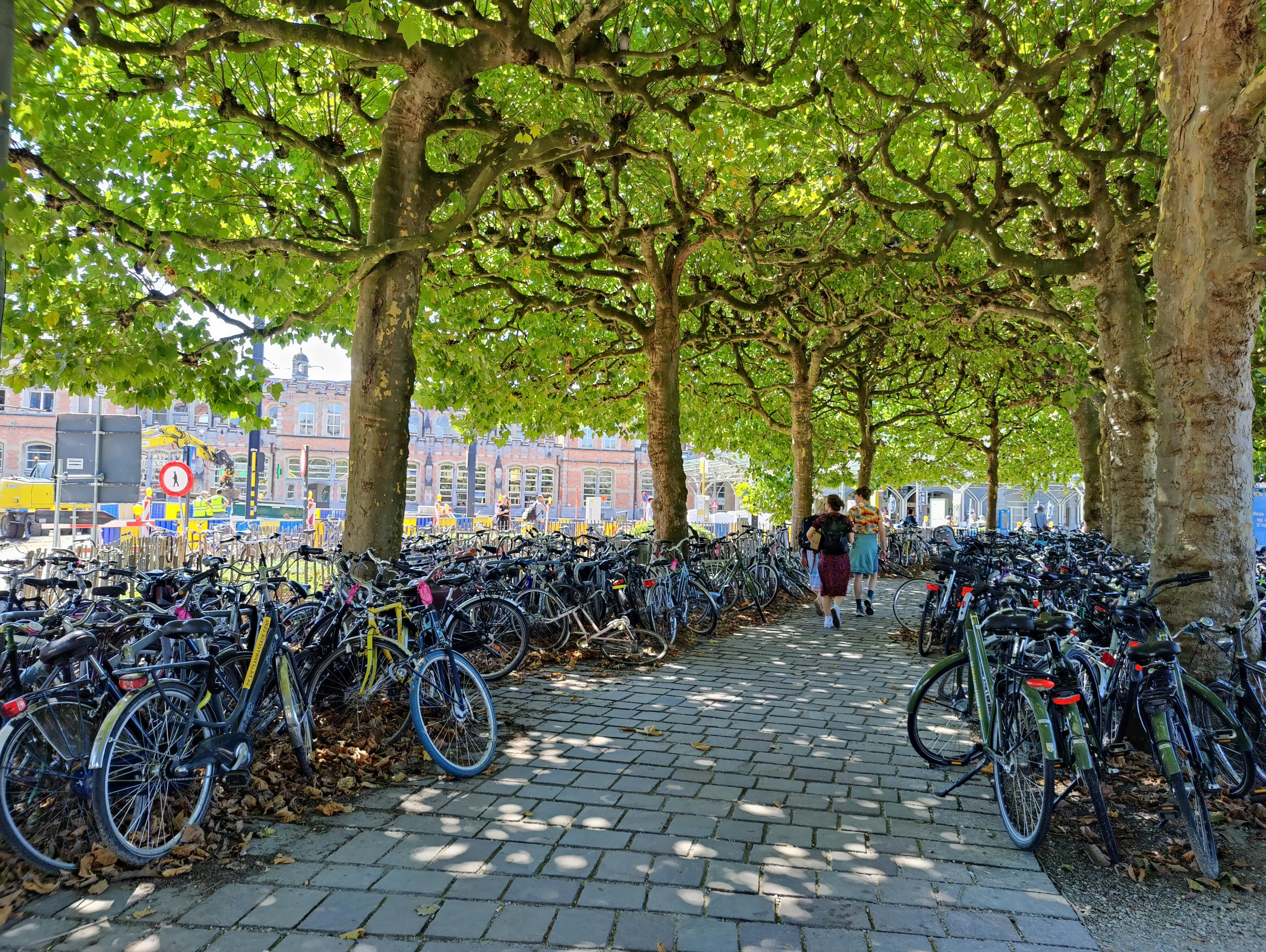 A sea of bicycles lining a cobblestone walkway shaded by branches | Koningin Maria Hendrikaplein 3-3A, 9000 Gent