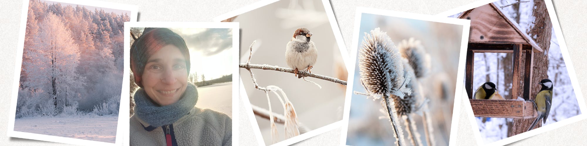 Naturlandschaft im Winter mit Schnee und Meisen im Futterhaus