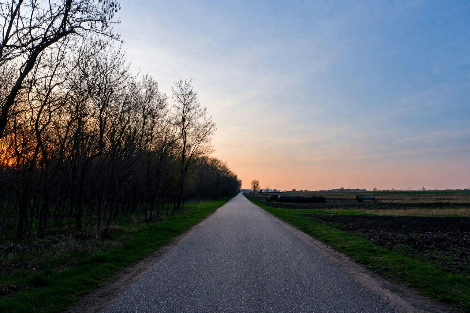 Laufstrecke bei Mönchhof