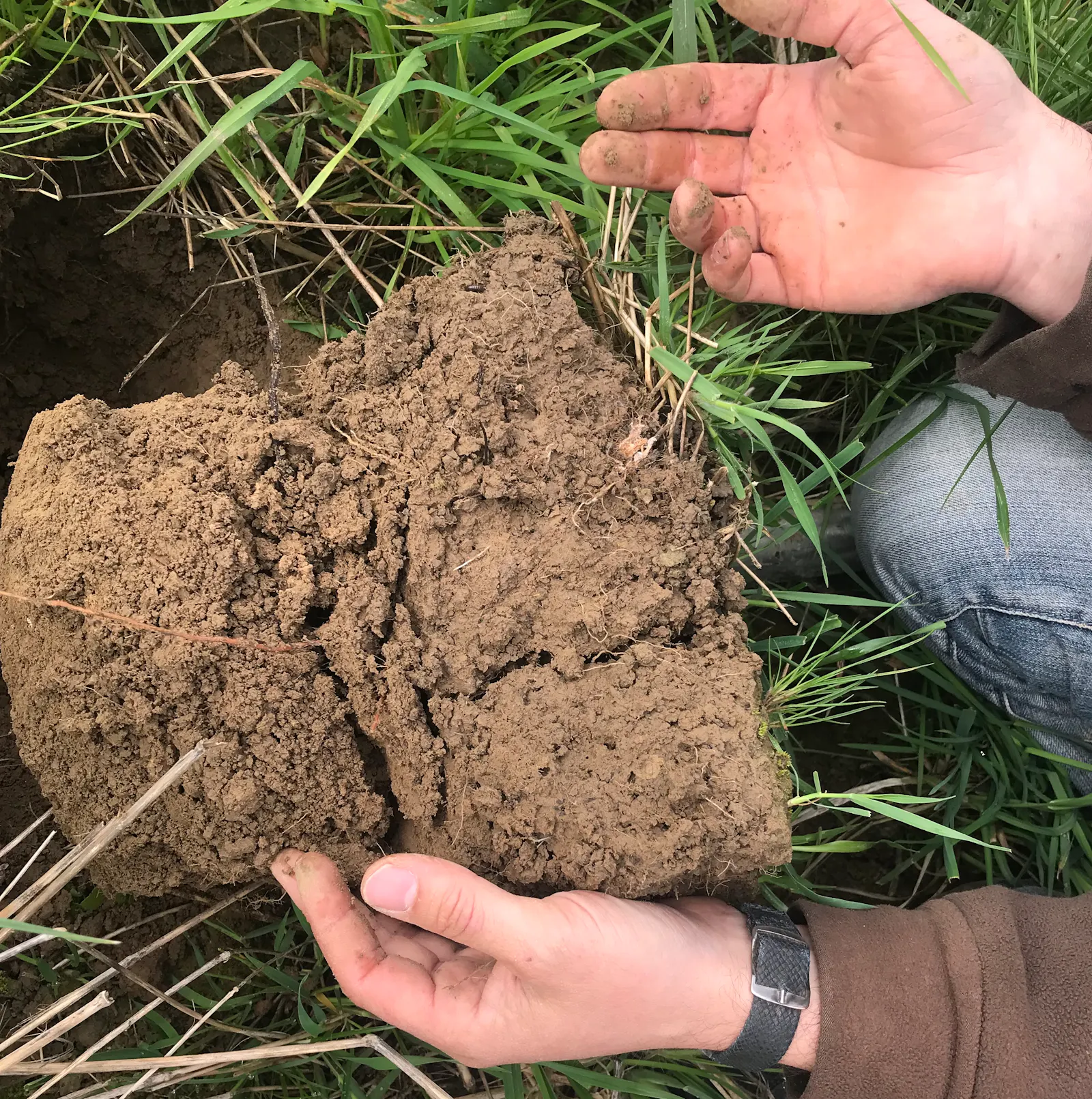 Christoph Kümmerers Hände befühlen ein Stück Boden, das er zuvor mit einem Spaten aus seinem Wein-Feld heruasgestochen hat