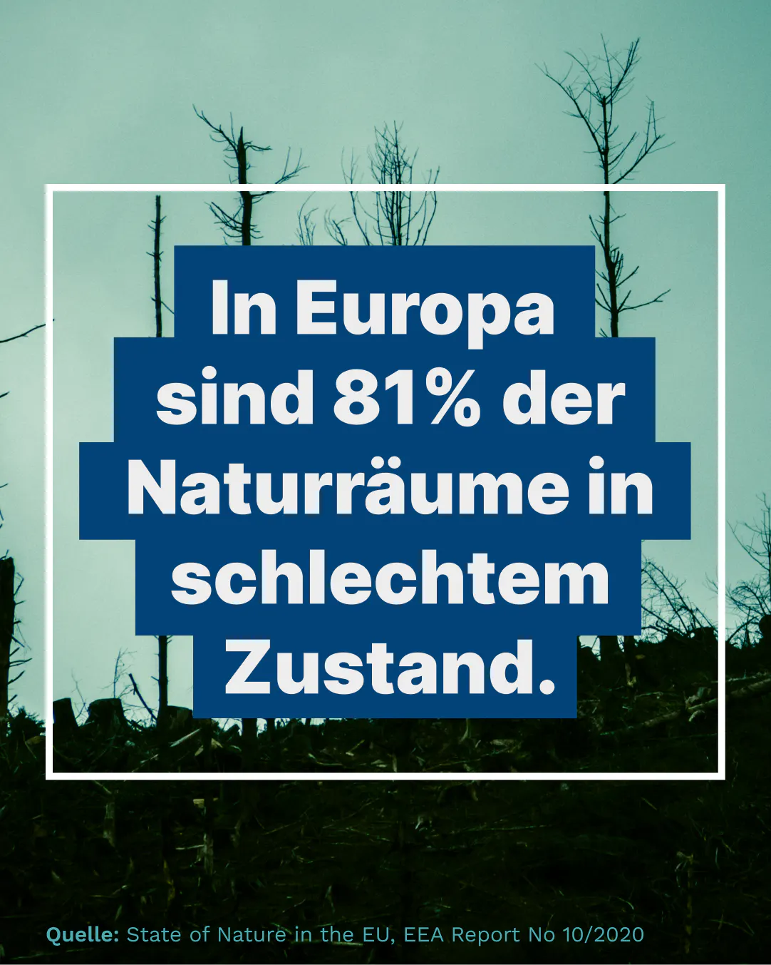 In Europa sind 81% der Naturräume in schlechtem Zustand.