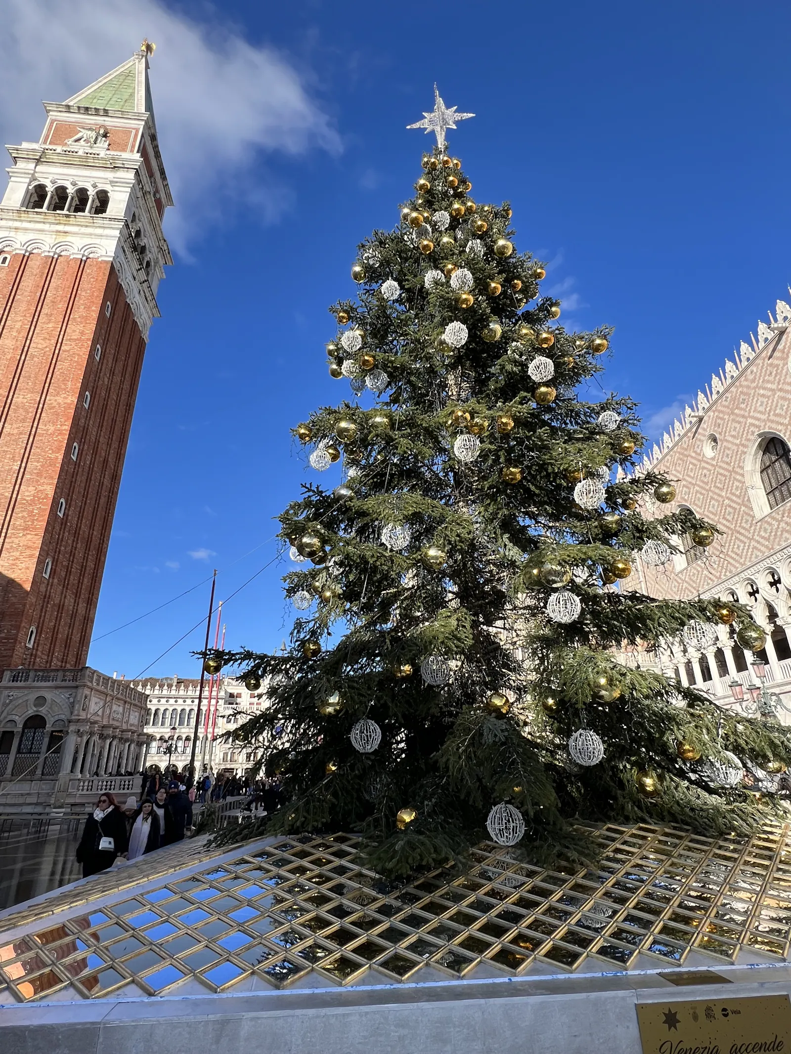 Weihnachtsbaum am Markusplatz