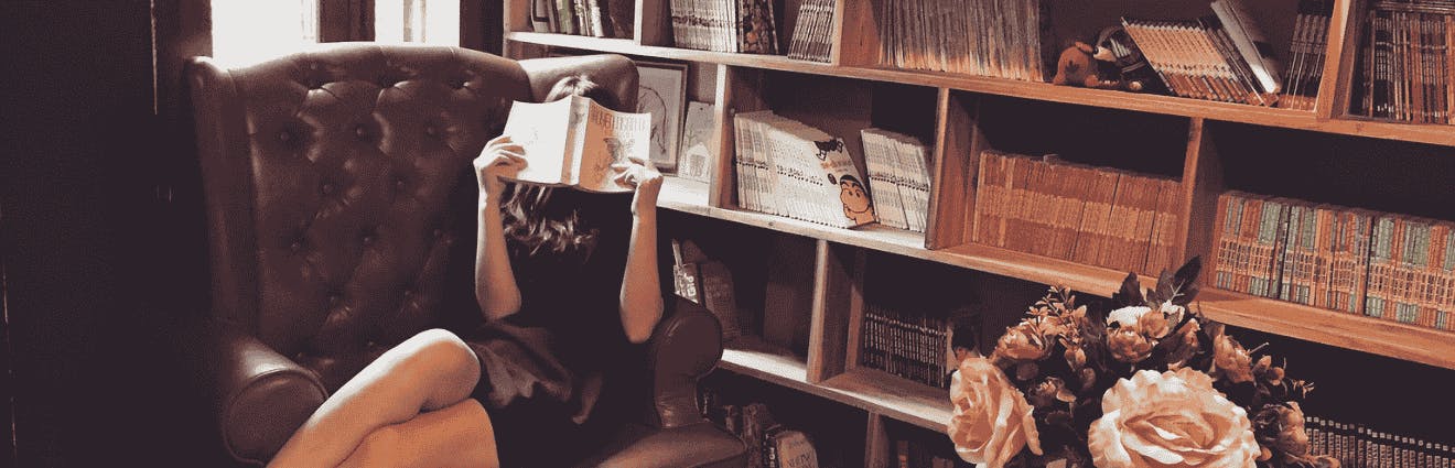 Frau liest auf Sessel vor einem Bücherregal, das Gesicht ist hinter einem Buch verdeckt.