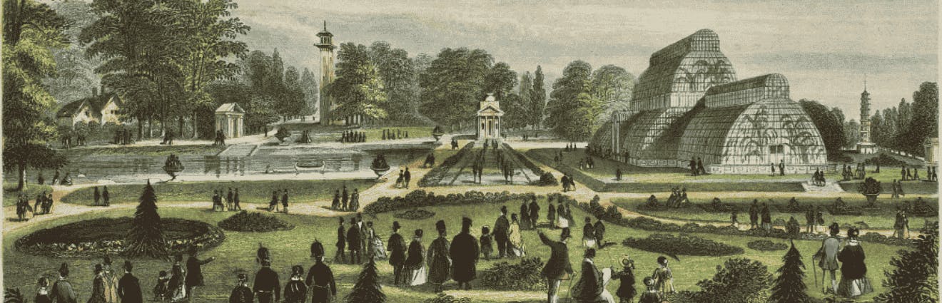 Schraffur zeigt das große Palmenhaus in den Kew Gardens um 1855