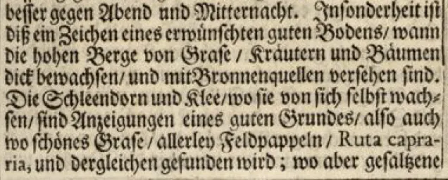 Noch ein Foto aus dem Buch