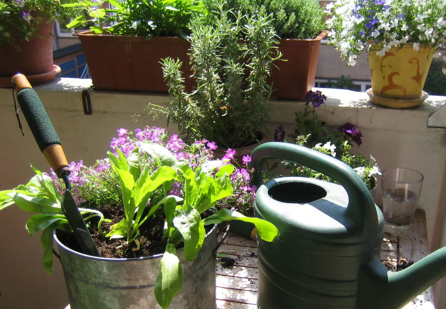 Ein Balkon vollgestellt mit Töpfen voller blühender Blumen und Kräuter. Dazwischen eine grüne Gießkanne, in einem Topf eine Gartenschaufel.