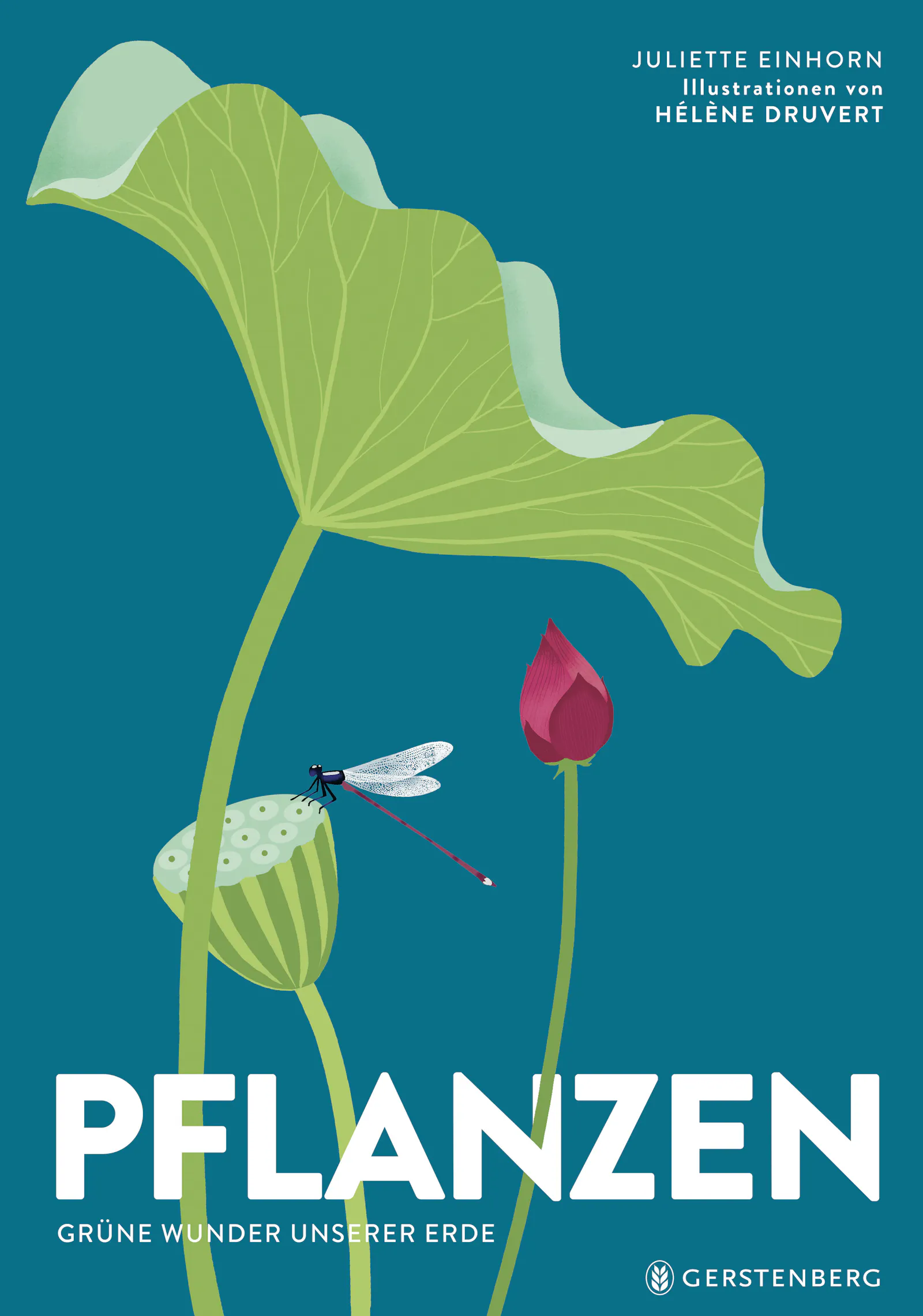 Cover von "Pflanzen - Grüne Wunder unserer Erde" von Juliette Einhorn und Hélène Druvert aus dem Gerstenberg Verlag