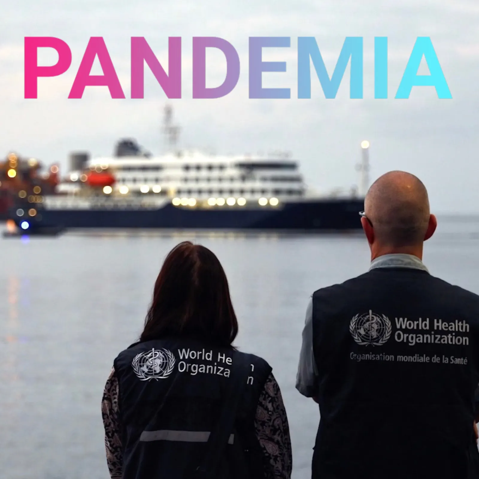 WHO Mitarbeiter blicken auf MV Hondius