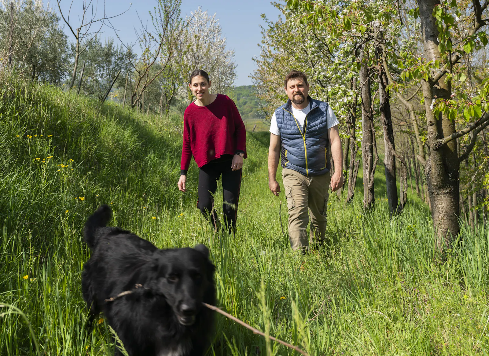 Veronika und Kristian Keber laufen durch einen Weinberg