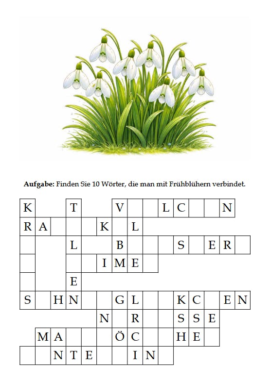 Wortgitter/ Wort-Suchrätsel - BLOG - Aktivierungen