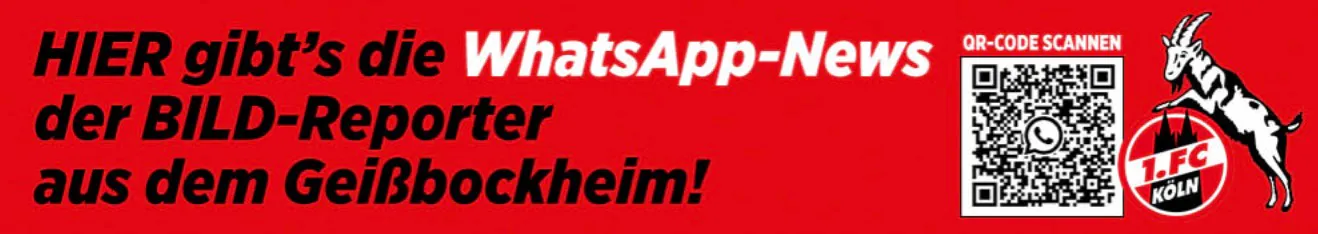 WhatsApp bei BILD