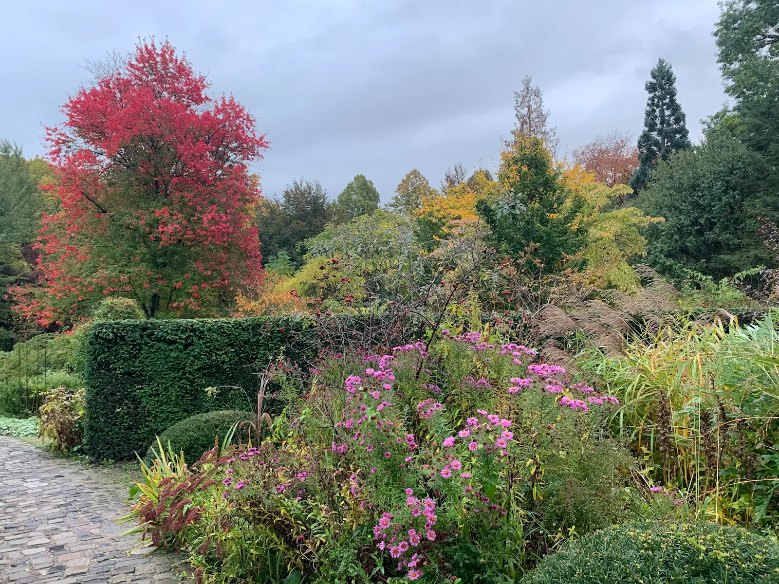 Herbstlicher Blick in einen Staudengarten mit blühenden Blumen und herbstlich gefärbten Bäumen