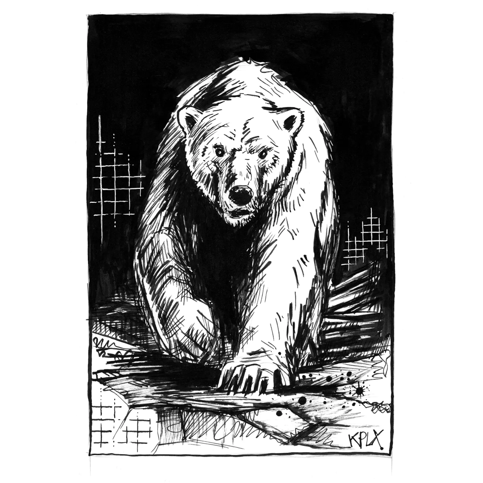 Schwarz-weiße Tuschezeichnung eines Eisbären, der kraftvoll nach vorne schreitet. Der Bär ist frontal dargestellt, sein Blick intensiv und wachsam, während starke Hell-Dunkel-Kontraste seinen massigen Körper betonen. Der Hintergrund ist tiefschwarz mit angedeuteten grafischen Strukturen aus Linien und Gittern.