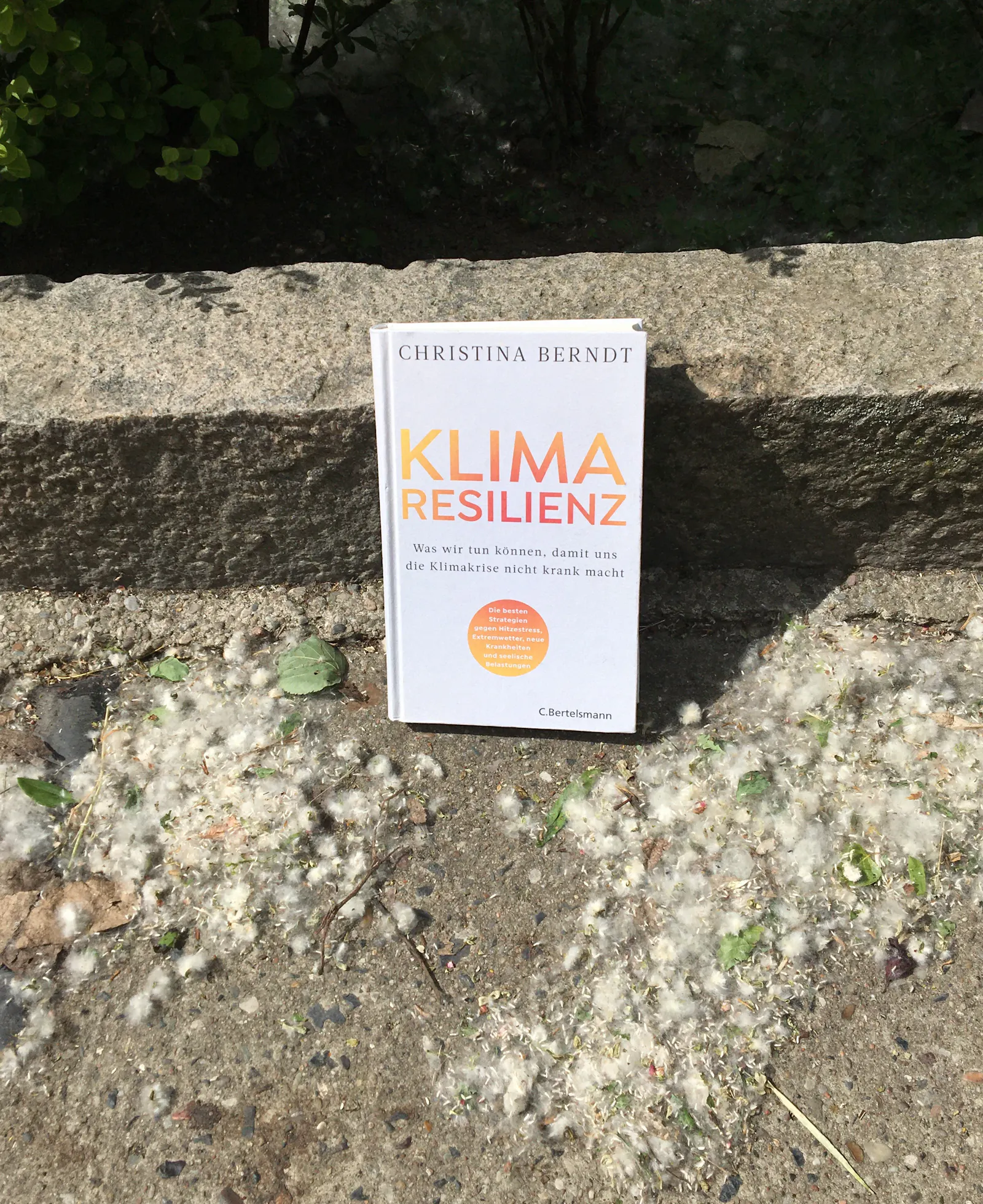 Das Buch KLIMARESILIENZ an Pollen auf einem Bürgersteig