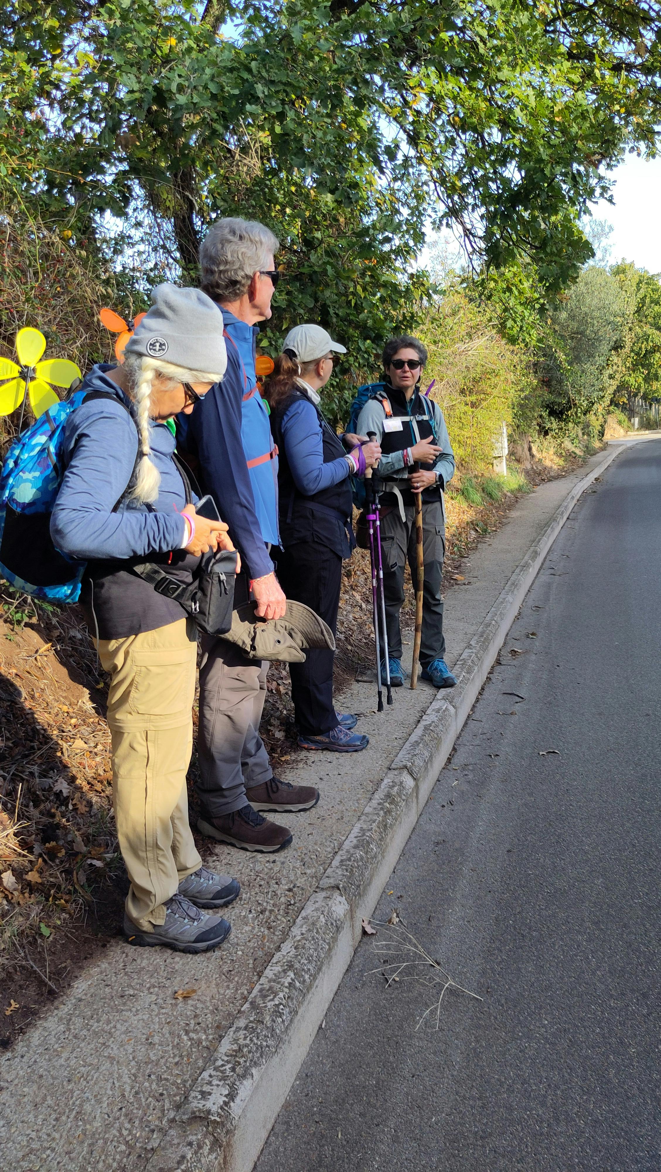 Un tratto di asfalto della Via Francigena. Sul marciapiede parte del gruppo del World Up Tour e alla loro testa Sara Zanni, la guida escursionistica.