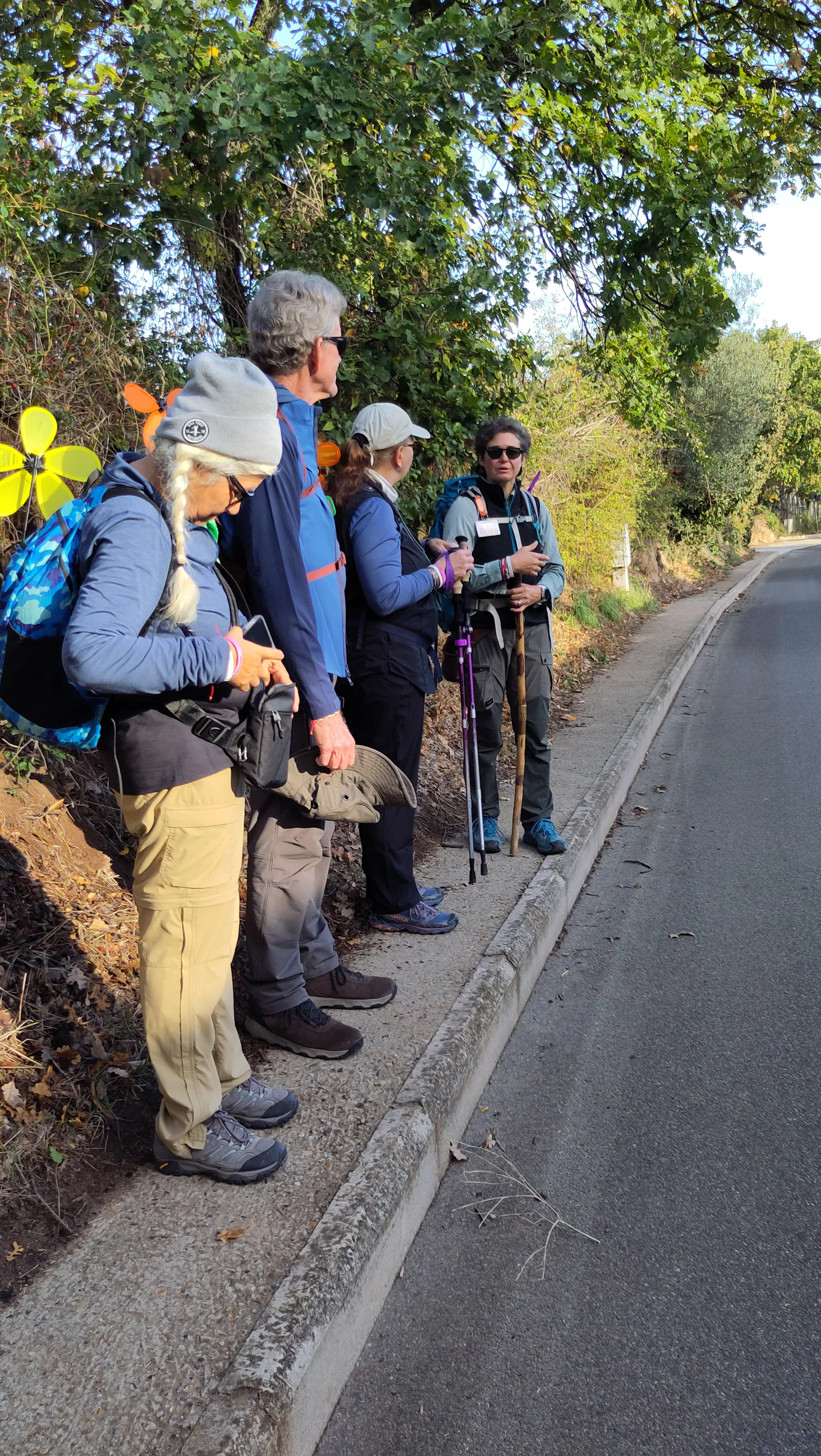 Un tratto di asfalto della Via Francigena. Sul marciapiede parte del gruppo del World Up Tour e alla loro testa Sara Zanni, la guida escursionistica.
