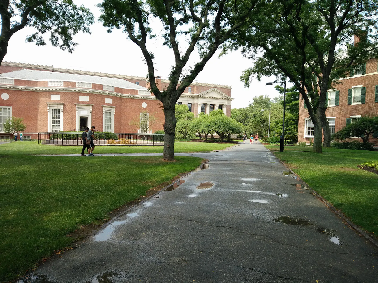 Blick auf die Houghton Library Harvard