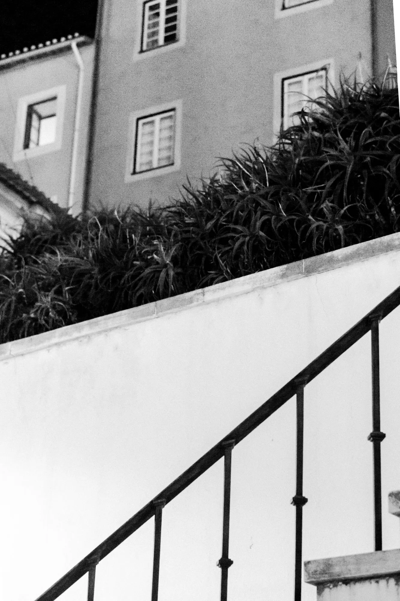 Die Schwarzweißfotografie einer Treppe, die zu einer Hausterrasse hinaufführt von Gabrille Nobre, Nobre Photography
