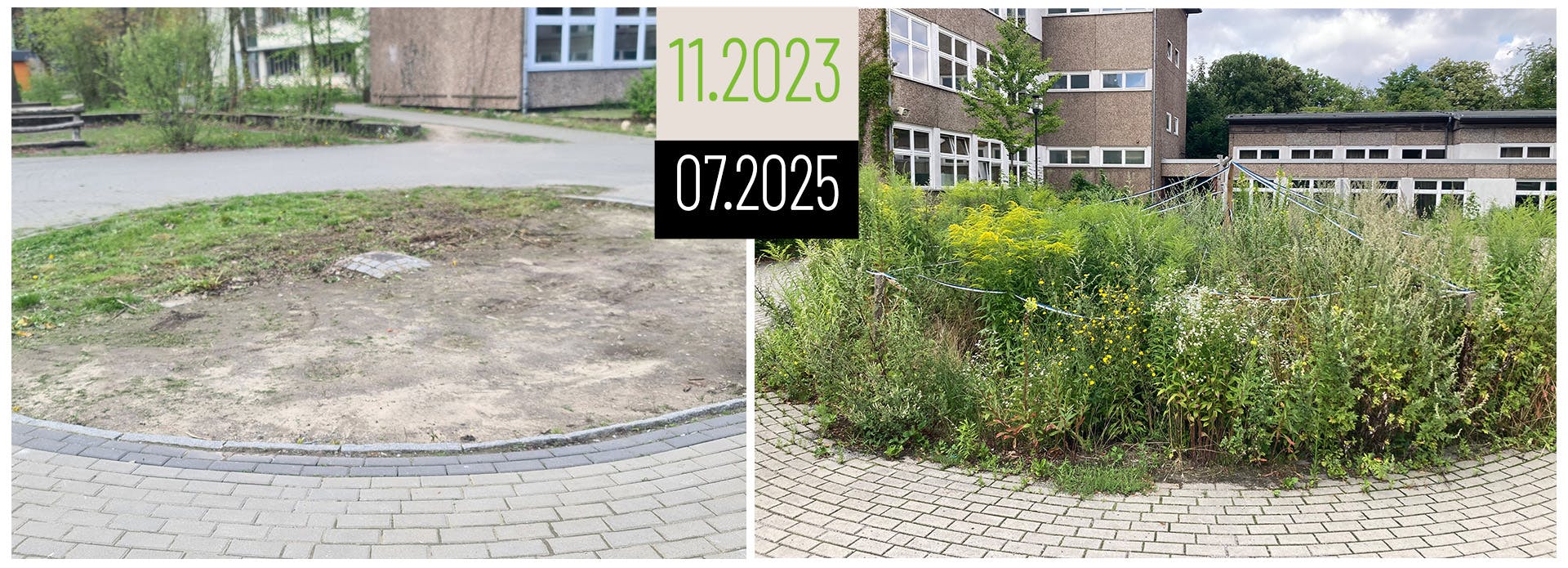 Eine Rondelle in einem Schulhof. Links ohne Vegetation, rechts mit Tiny Forest