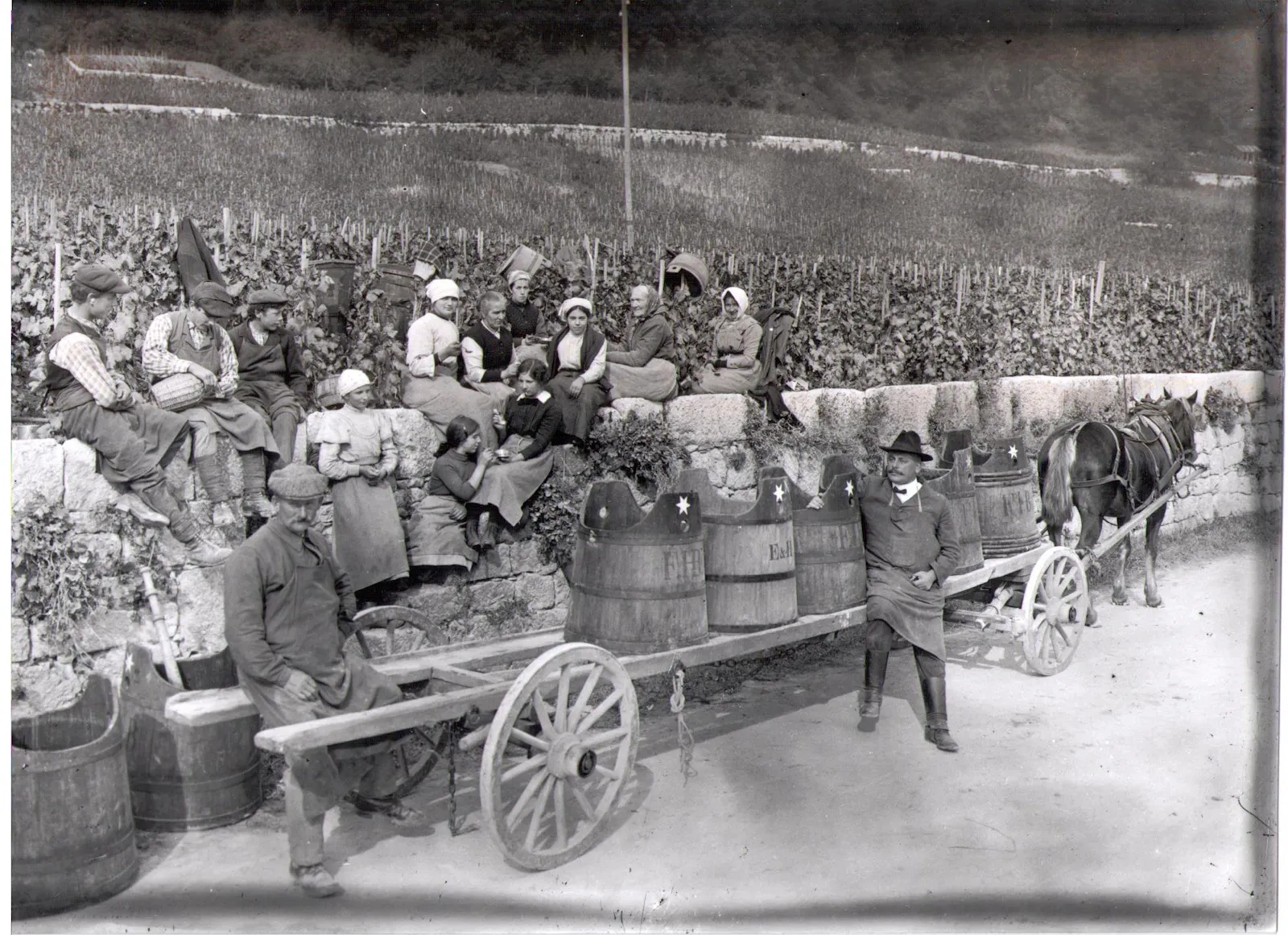 Schwarz-Weiß-Foto von einer Weinernte in der Schweiz aus dem Jahr 1920