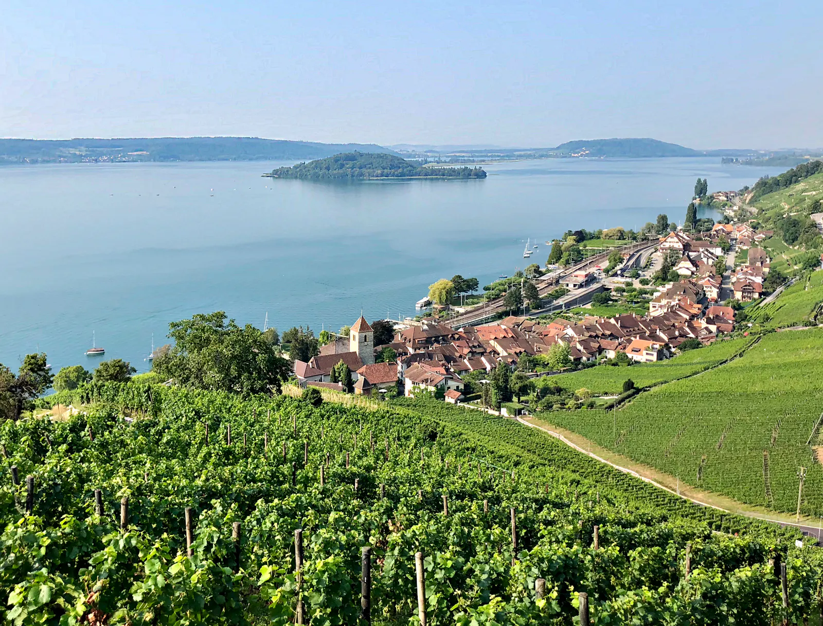 Blick auf den Bielersee in der Schweiz. Am See gibt es Weinberge
