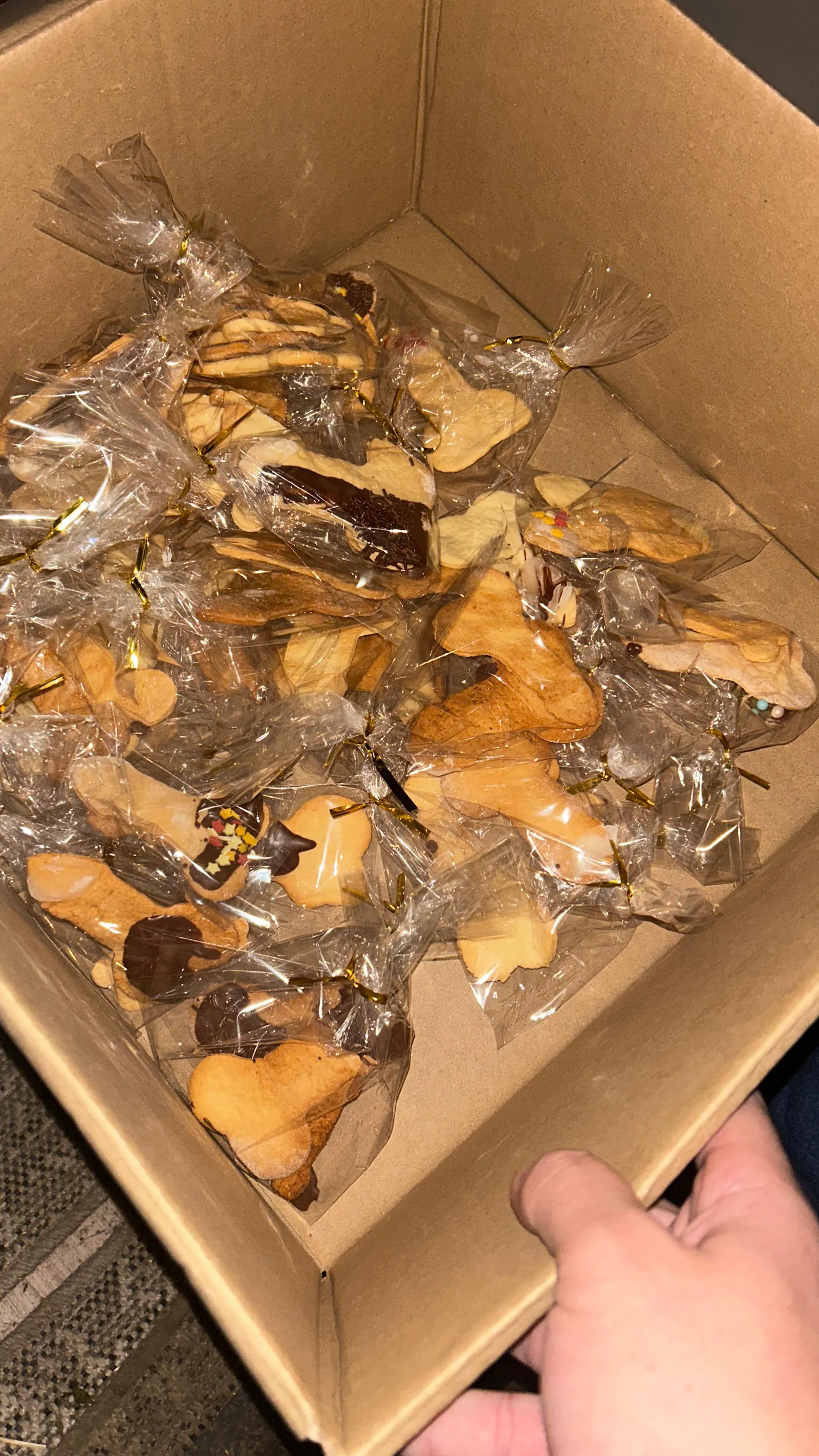 Plätzchen in einem Karton.
