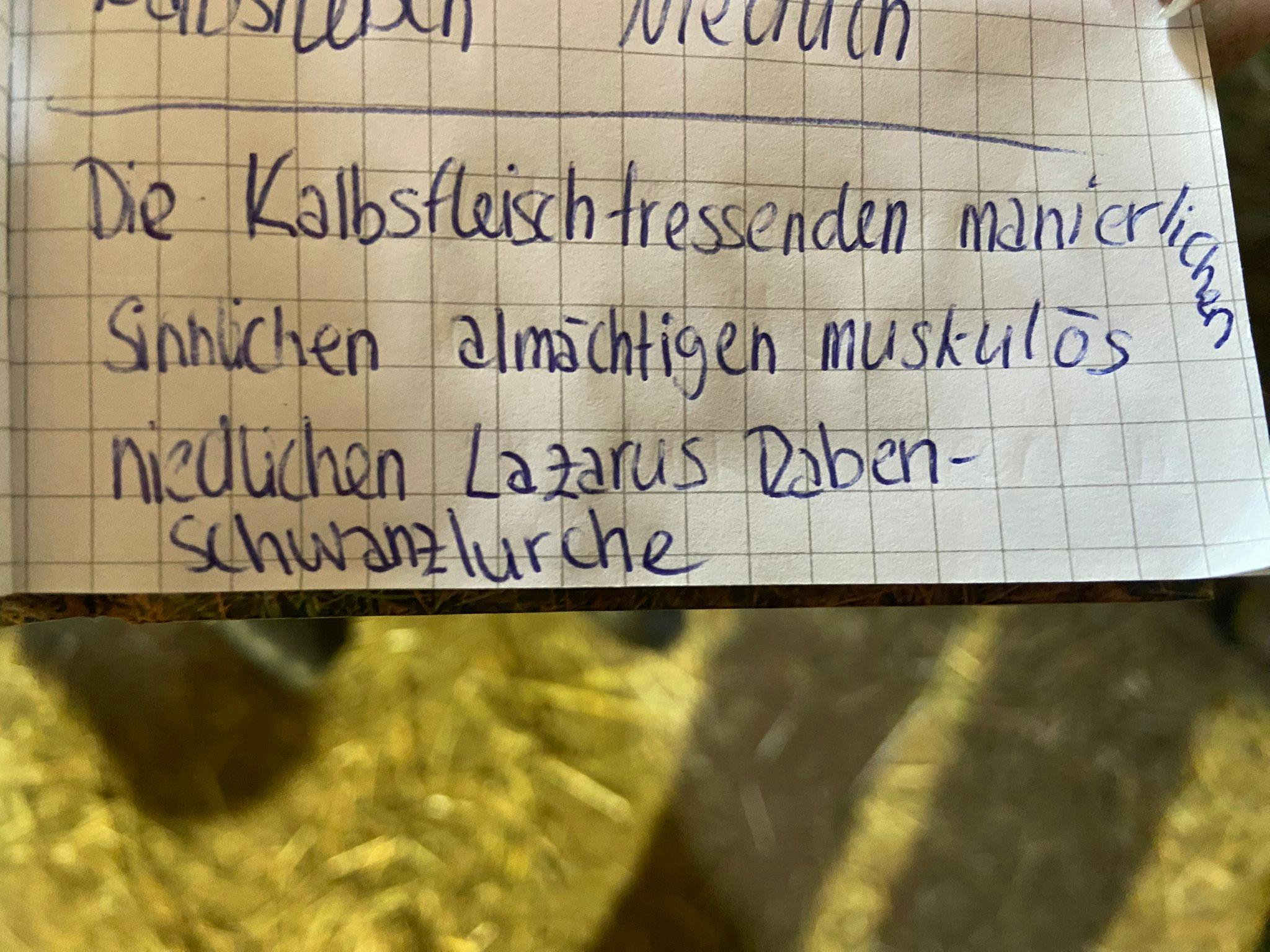 Ein Zettel mit  dem Gruppennamen: Die Kalbsfleischfressenden manierlichen sinnlichen Allmächtigen muskulös niedlichen Lazarus Rabenschwanzlurche.