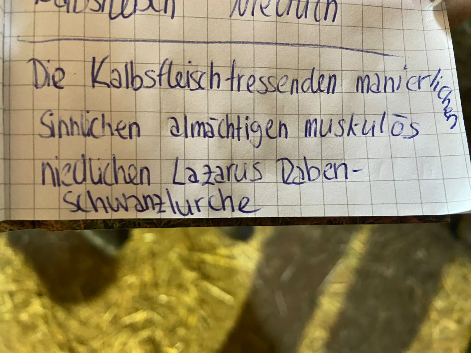 Ein Zettel mit dem Gruppennamen: Die Kalbsfleischfressenden manierlichen sinnlichen Allmächtigen muskulös niedlichen Lazarus Rabenschwanzlurche.