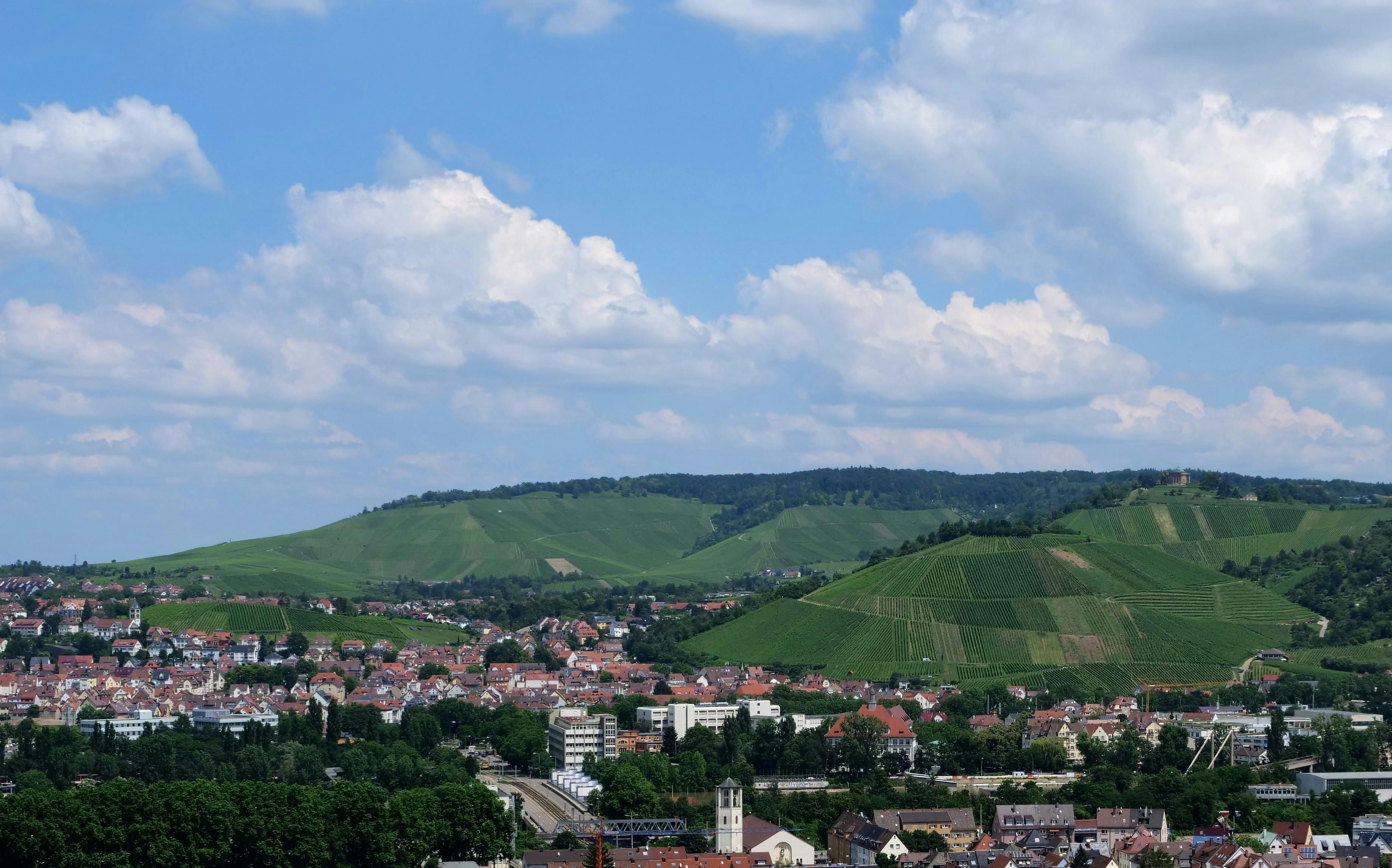 Blick über den Neckar auf Untertürkheim mit seinen Weinlagen und der Grabkapelle. Foto: Jürgen Brand