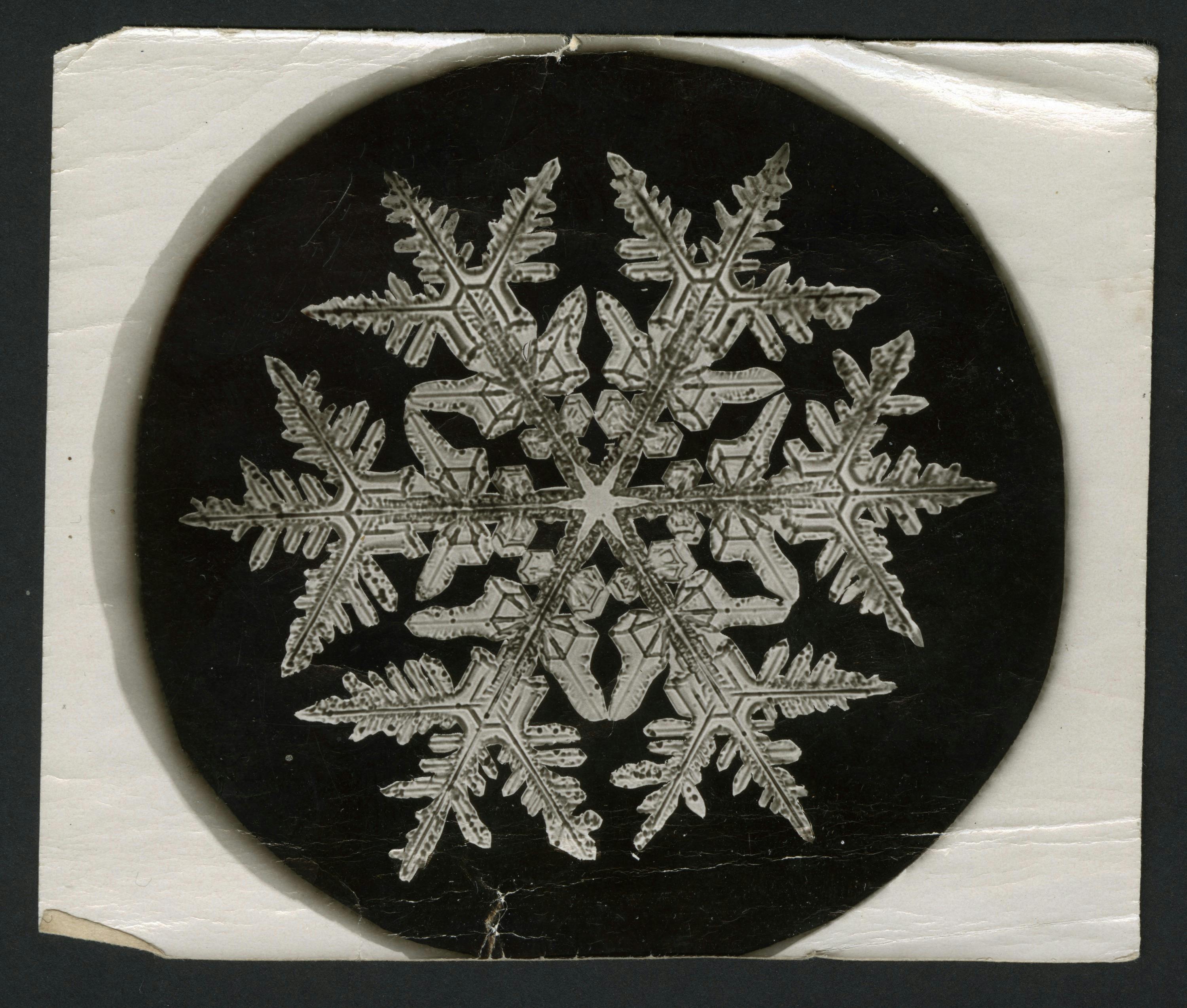 Mikroskopische Aufnahme eines Schneekristalls, schwarzweiß.