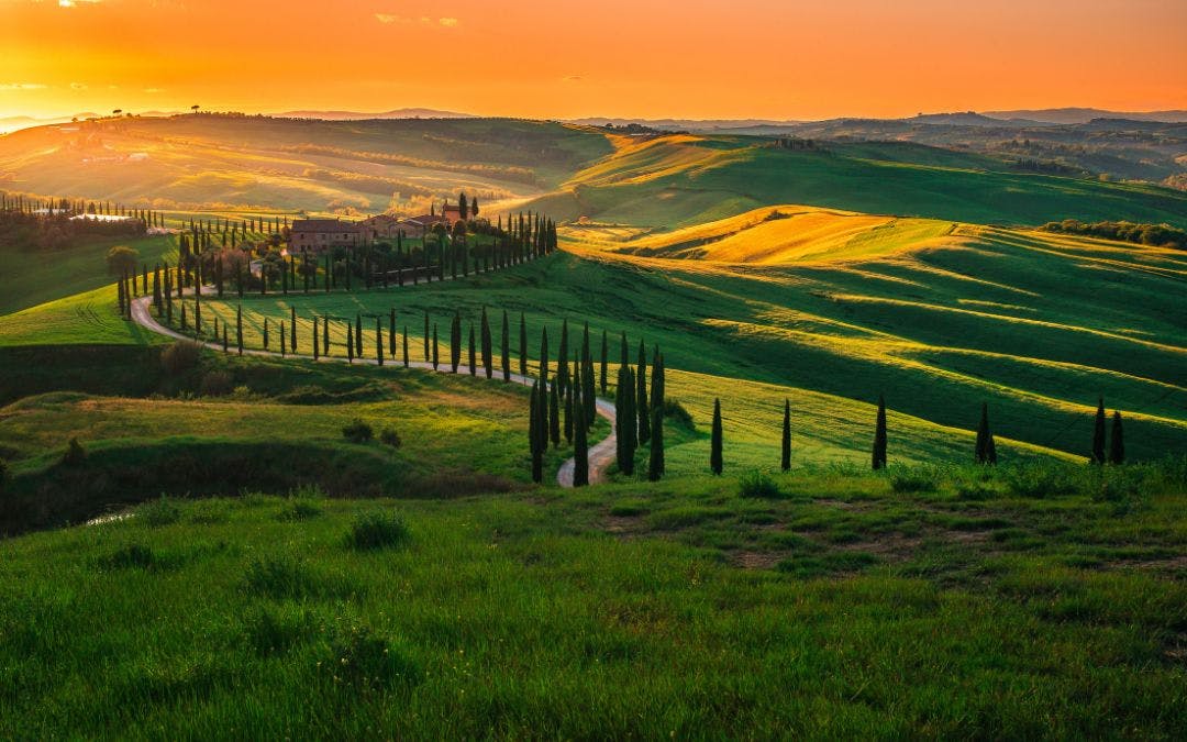 Toscana IGT: Italiens neue Premium-Offensiv