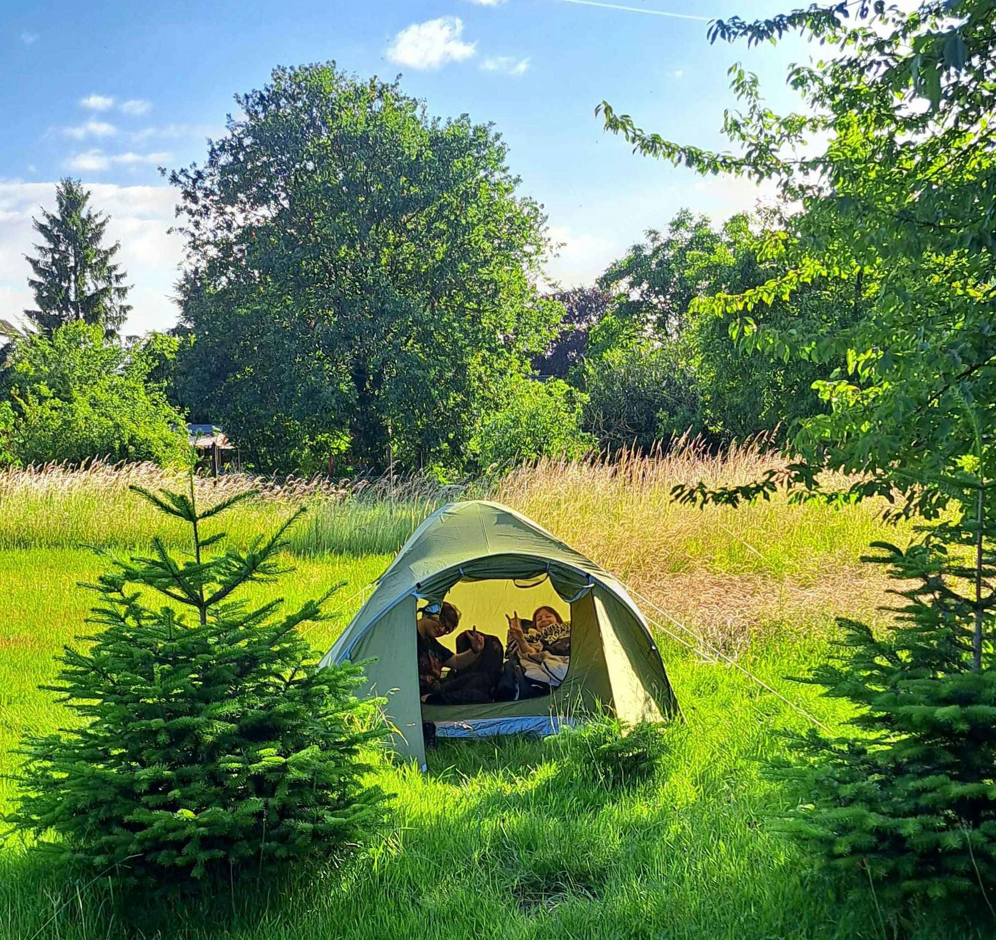 Ein grünes Campingzelt steht auf einer sonnigen Wiese, umgeben von kleinen Tannenbäumen und hohem Gras. Im offenen Eingang des Zelts sind zwei Personen (Blue und Scarlett) zu erkennen, die entspannt in die Kamera gucken. Im Hintergrund erstreckt sich eine grüne Landschaft mit Bäumen unter blauem Himmel mit einzelnen Wolken.