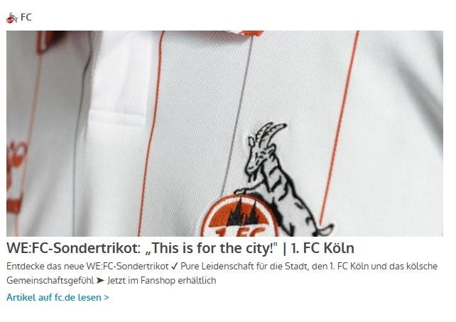 Sondertrikot WE:FC