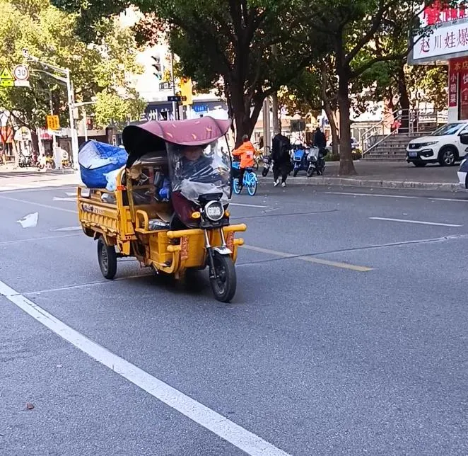 Eine elektrifzierter dreirädriger Mülltransporter