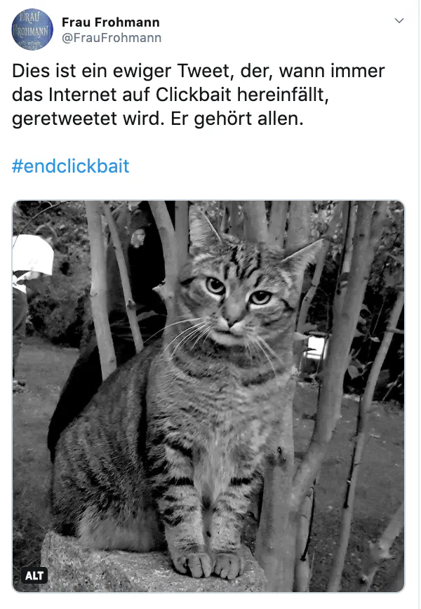 Tweet mit Bild von sauer blickender Katze, der vor Clickbait warnt