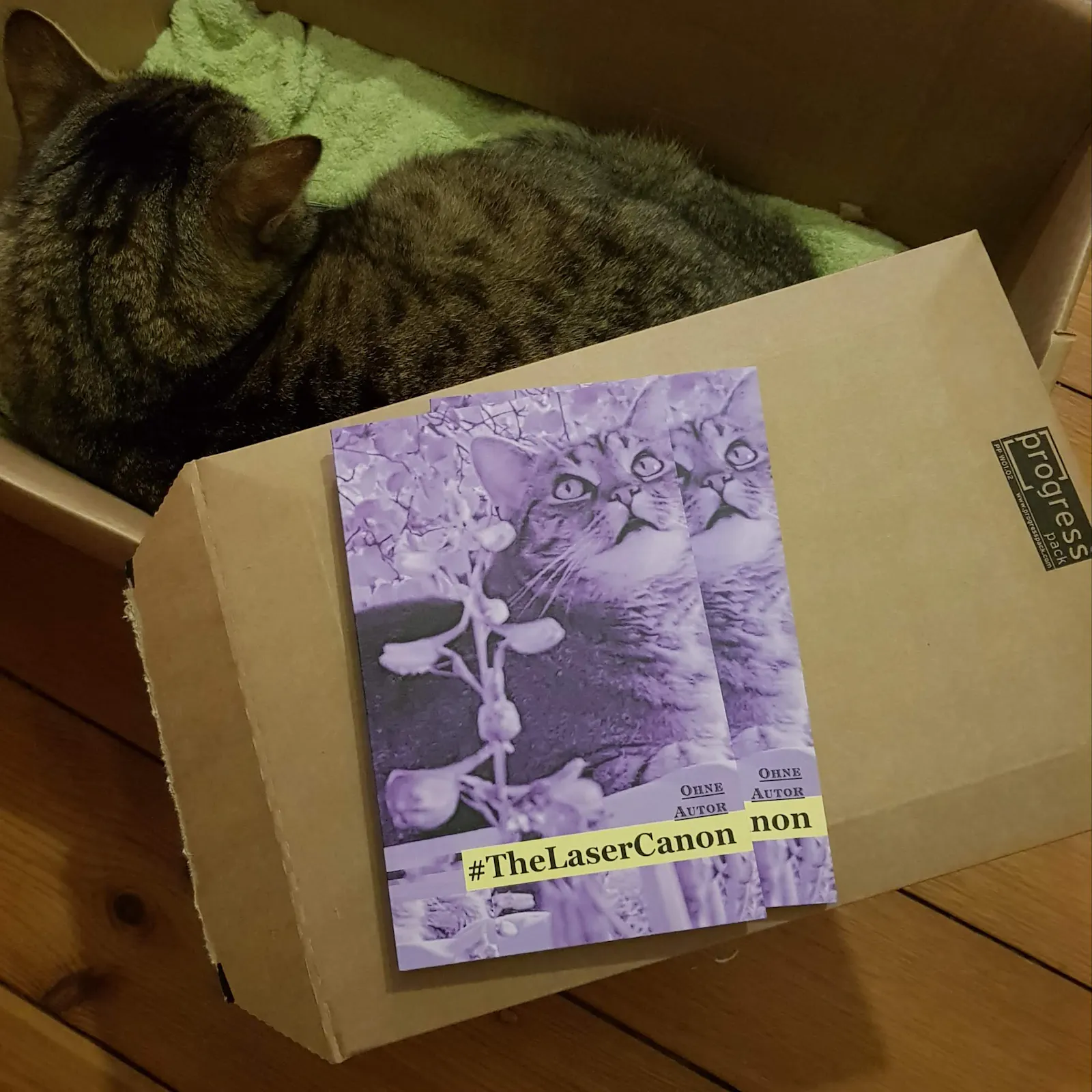 Kiste mit Katze darin, davor zwei Exemplare des Buchs "The Laser Canon"
