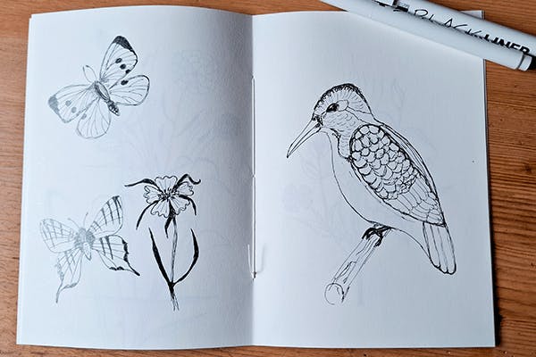 Blick ins Sketchbook, mit Fineliner-Skizzen: zwei Schmetterlinge, eine Blume und ein Vogel.