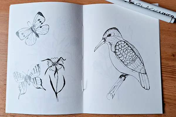 Blick ins Sketchbook, mit Fineliner-Skizzen: zwei Schmetterlinge, eine Blume und ein Vogel.