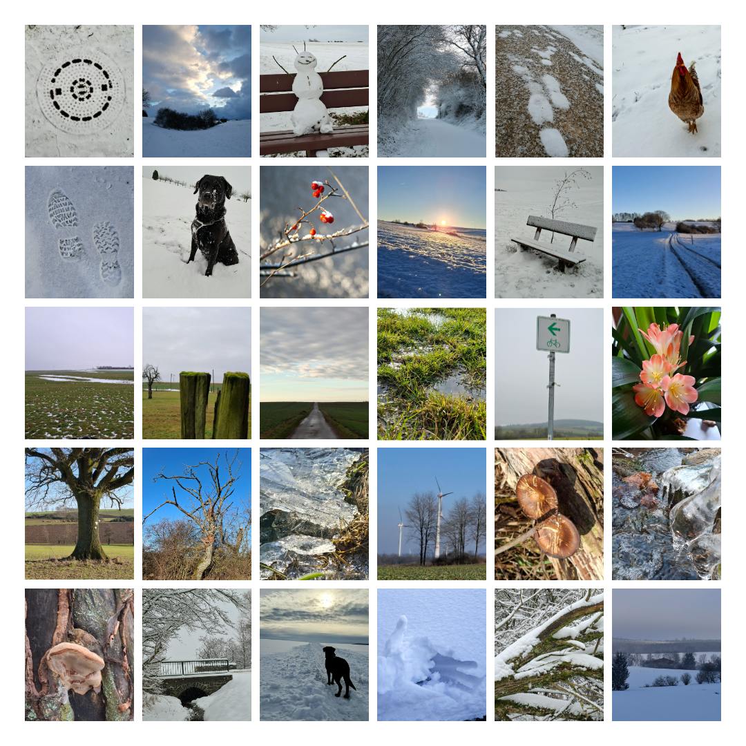 Eine Foto-Collage aus 30 Bildern, winterliche Stimmungen, meist weiß (Schnee), etwas blauer Himmel und ein bisschen Grün.