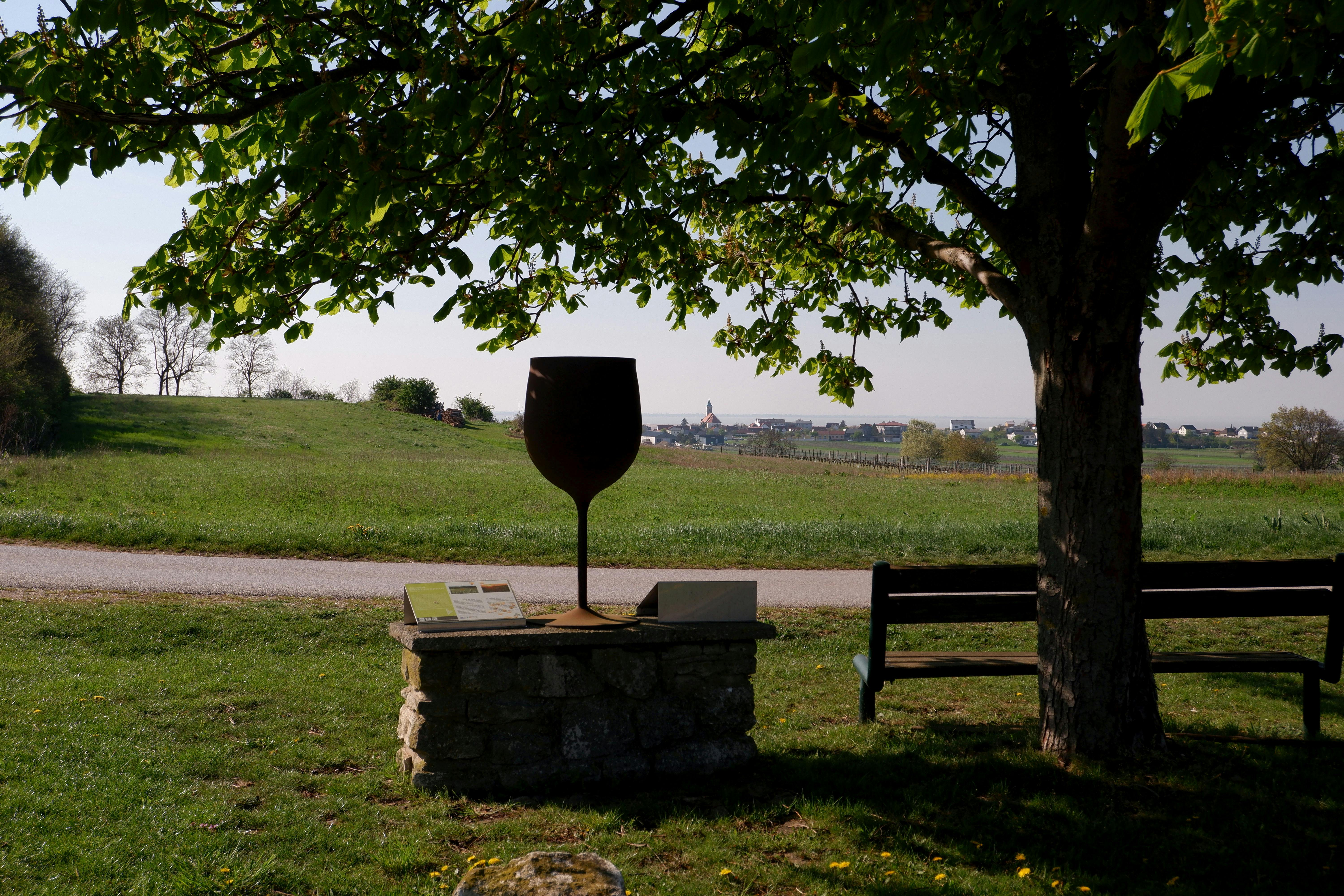 Weinlehrpfad Jois