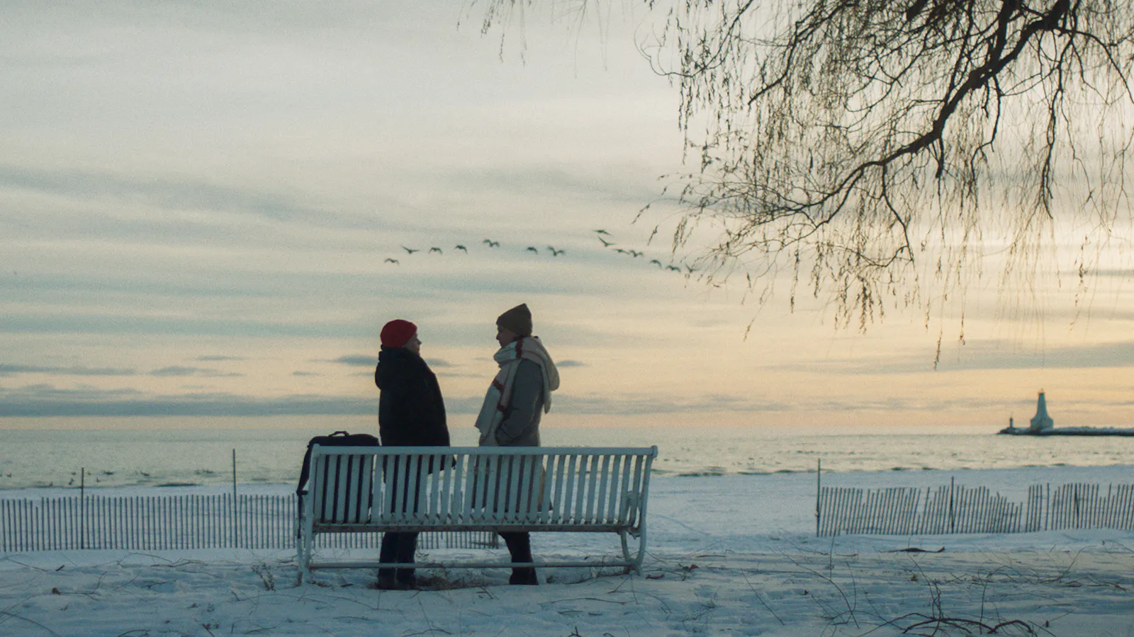 Freundschaft und Vögel in Close to You // © Salzgeber