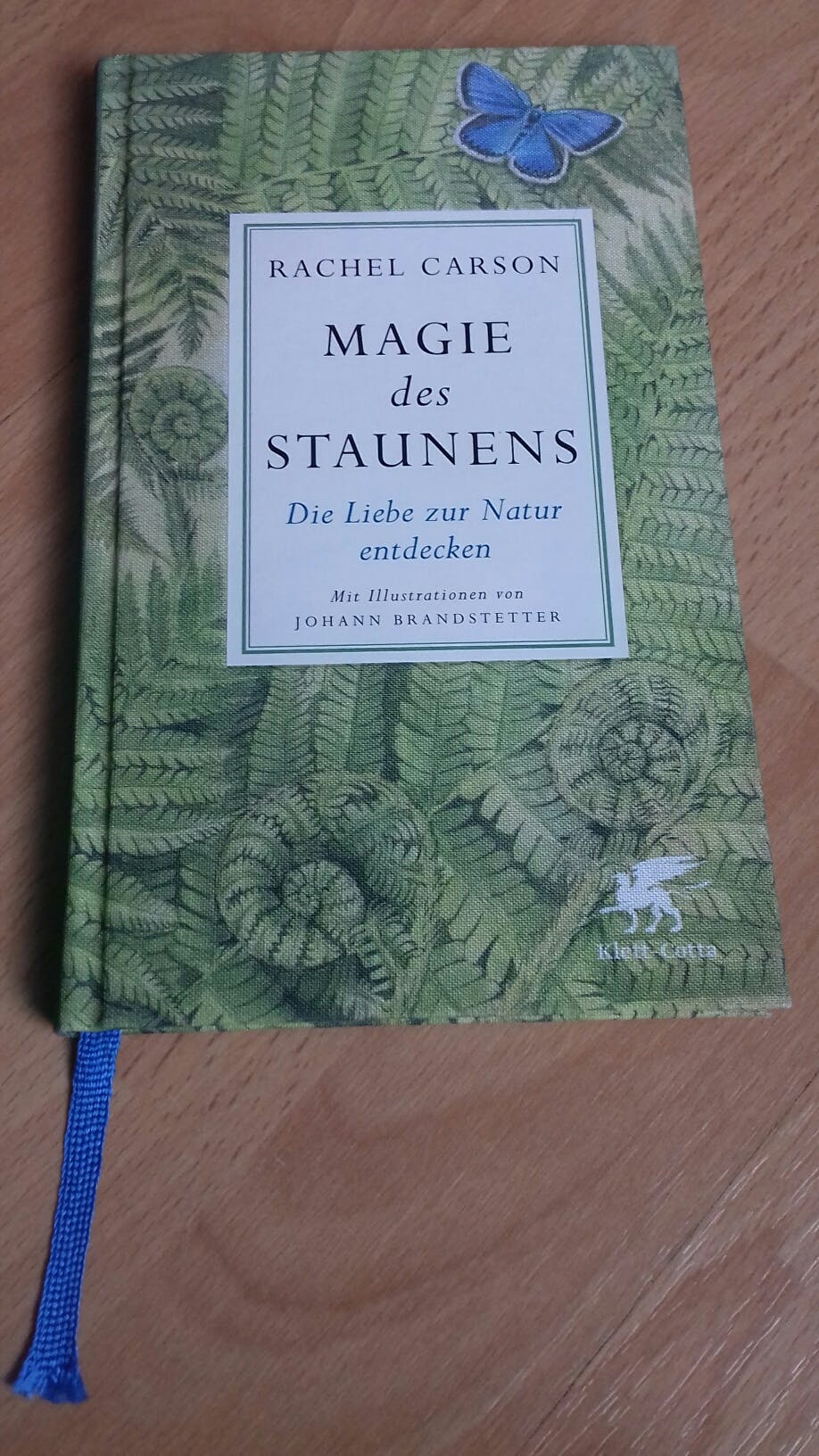 Ein Buch mit einem grünen Cover liegt auf einem hellbraunen Holztisch.